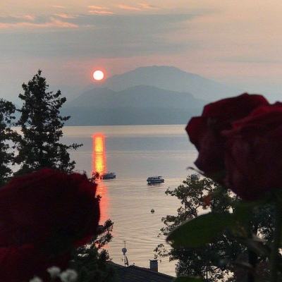 草花手游清宫无间斗老版本下载